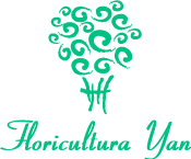 logo_floricultura_yan